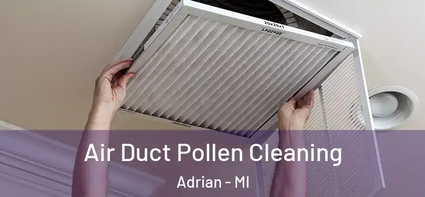  Air Duct Pollen Cleaning Adrian - MI