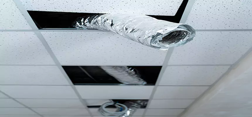 Our Air Duct Pet Hair Removal Services in Adrian, MI