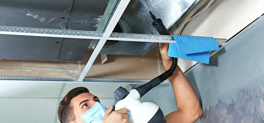 Our Air Duct Rodent Removal Services in Adrian, MI