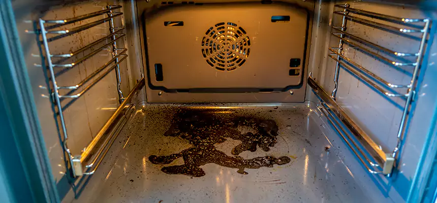 Our Dryer Vent Mold Cleaning Services in Adrian, MI