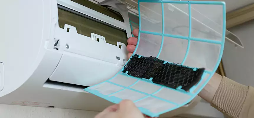 Gentle Ductwork Odor-Control Pet Dander Duct Cleaning in Adrian, MI