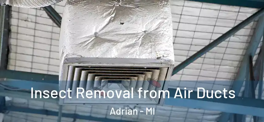 Insect Removal from Air Ducts Adrian - MI