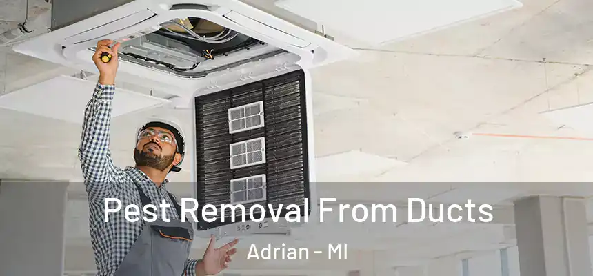  Pest Removal From Ducts Adrian - MI