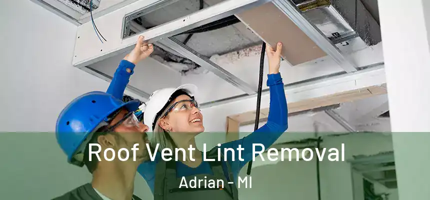 Roof Vent Lint Removal Adrian - MI