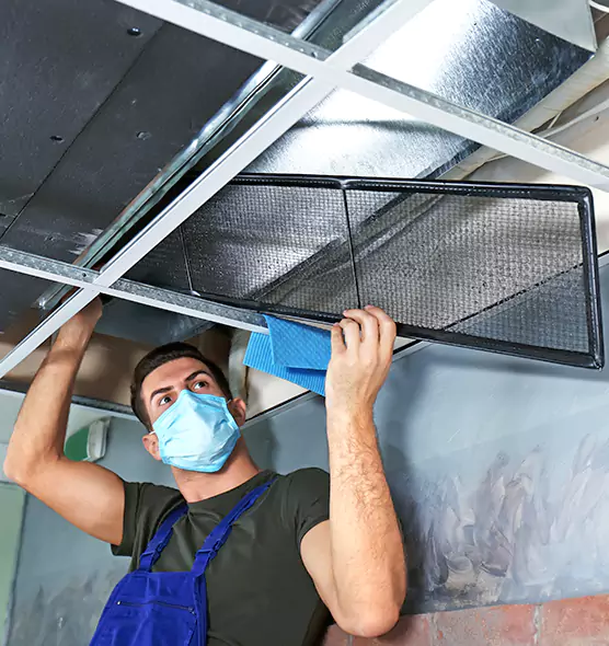 About Air Duct Bacteria Removal in Adrian