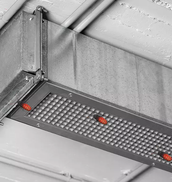 Affordable Insect Removal from Air Ducts in Adrian, MI