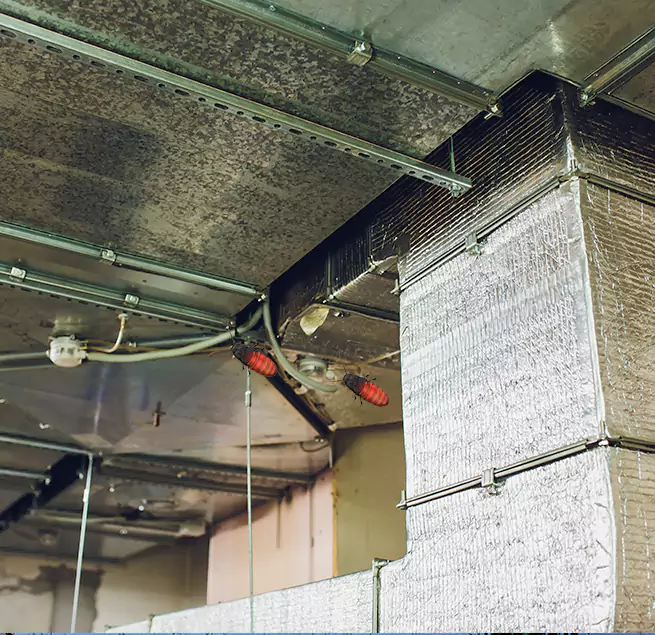 Why Homeowners & Businesses Trust Us in Adrian, MI?