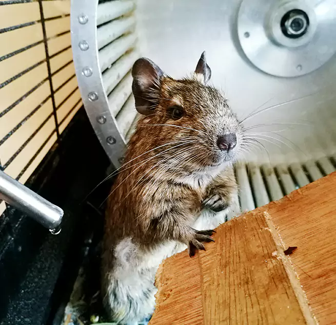 Why Homeowners & Businesses Trust Us Adrian, MI?