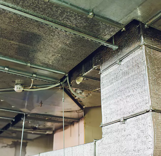 Why Homeowners & Businesses Trust Us in Adrian, MI?